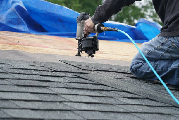 Best Storm Damage Roof Repair  in Oglesby, IL