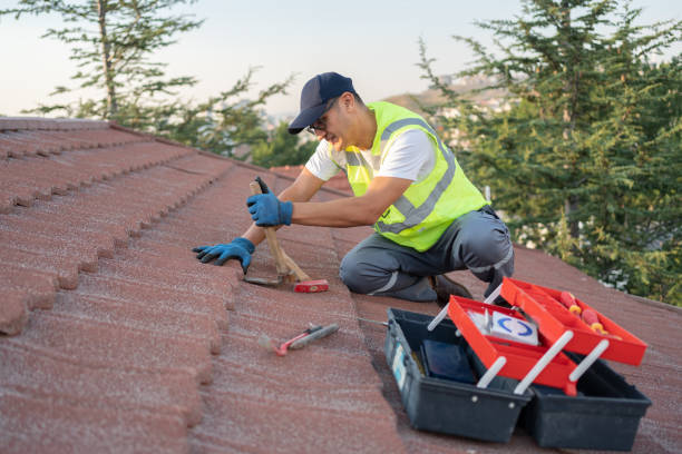 Best Emergency Roof Repair  in Oglesby, IL