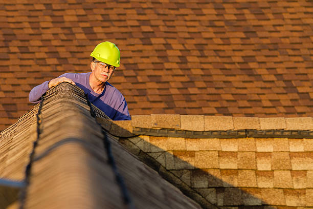 Best Roof Maintenance Services  in Oglesby, IL
