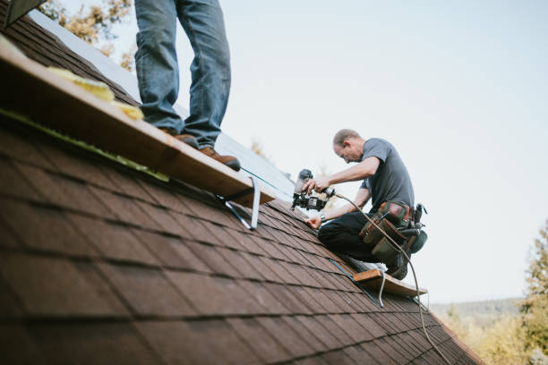 Residential Roof Replacement in Oglesby, IL